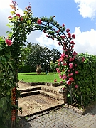 Giardino dei rose